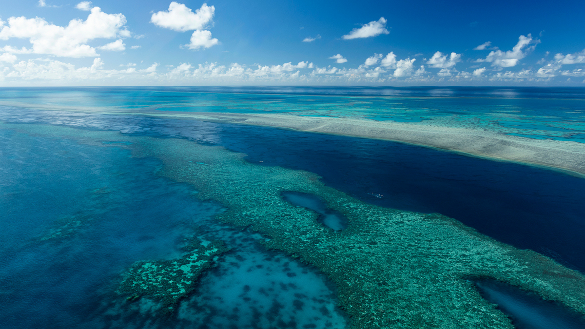 When The Reef Turns To Glass | Introducing 'Serenity'