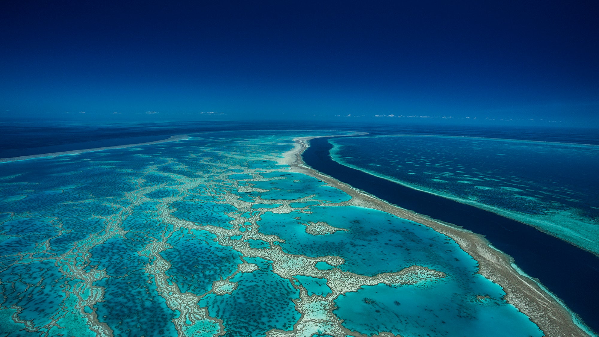 The Great Barrier Reef | Ocean Prints