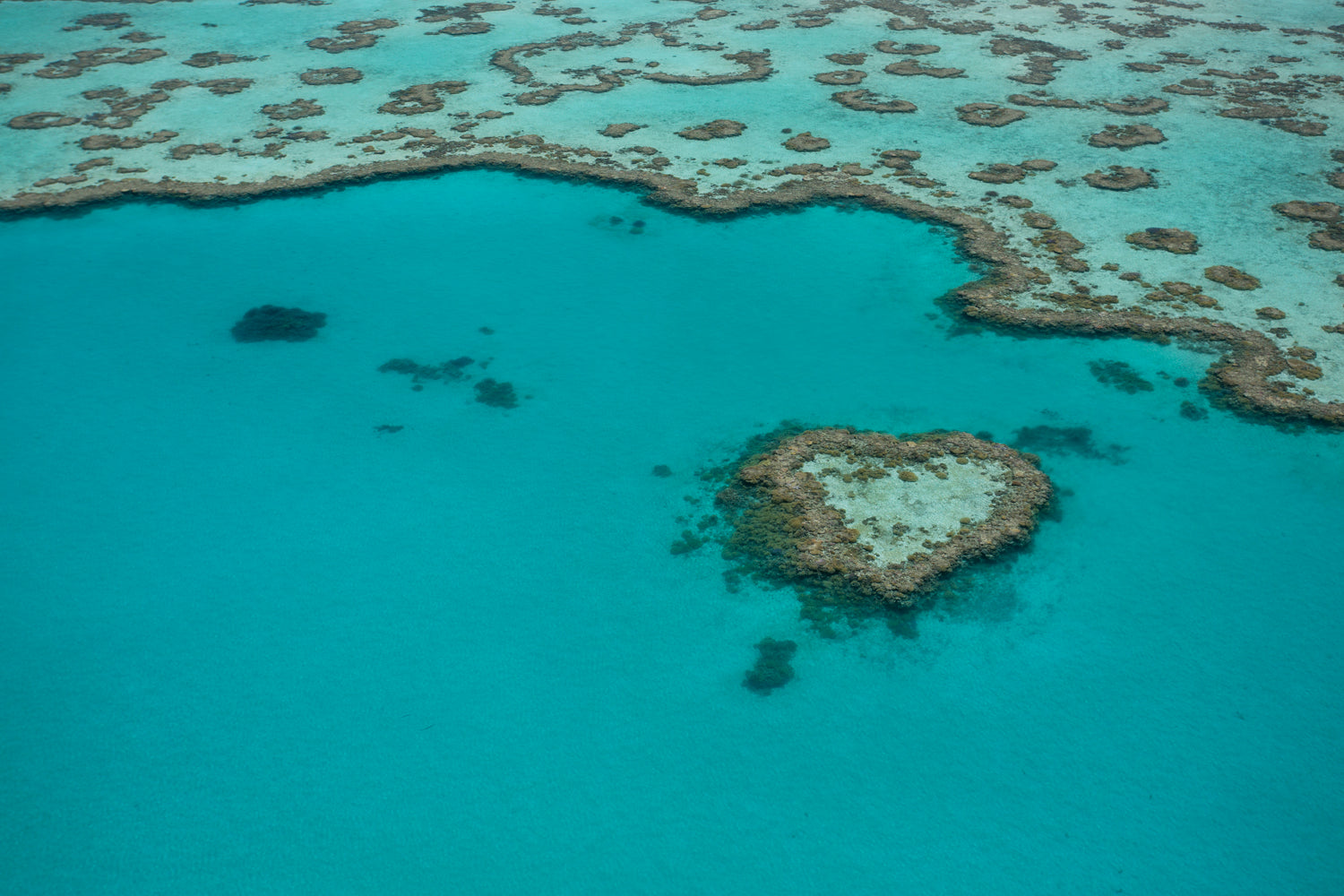 large heart shaped coral reef island surrounded by turquise water and more reef