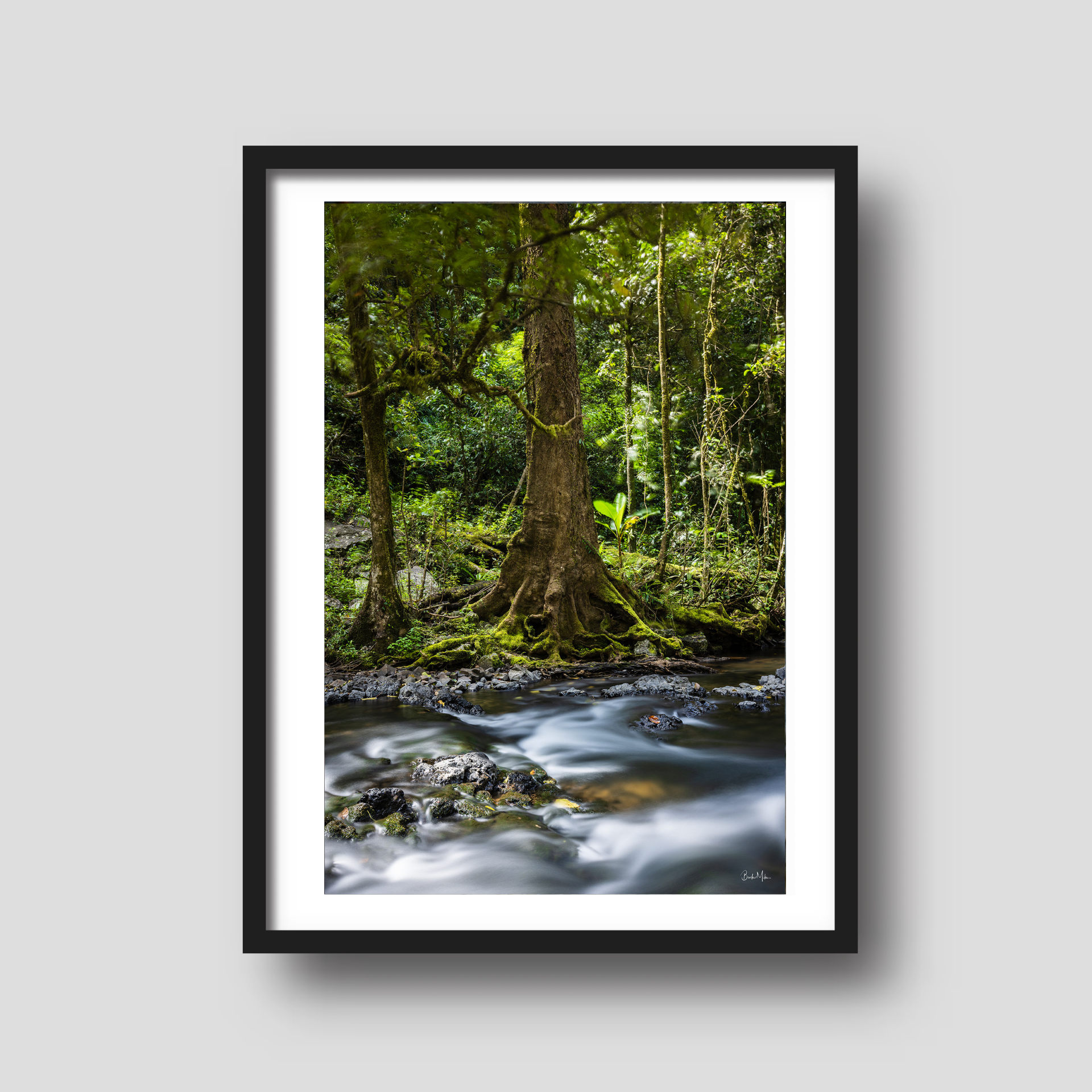 Time Traces - Waterfall Rainforest Print
