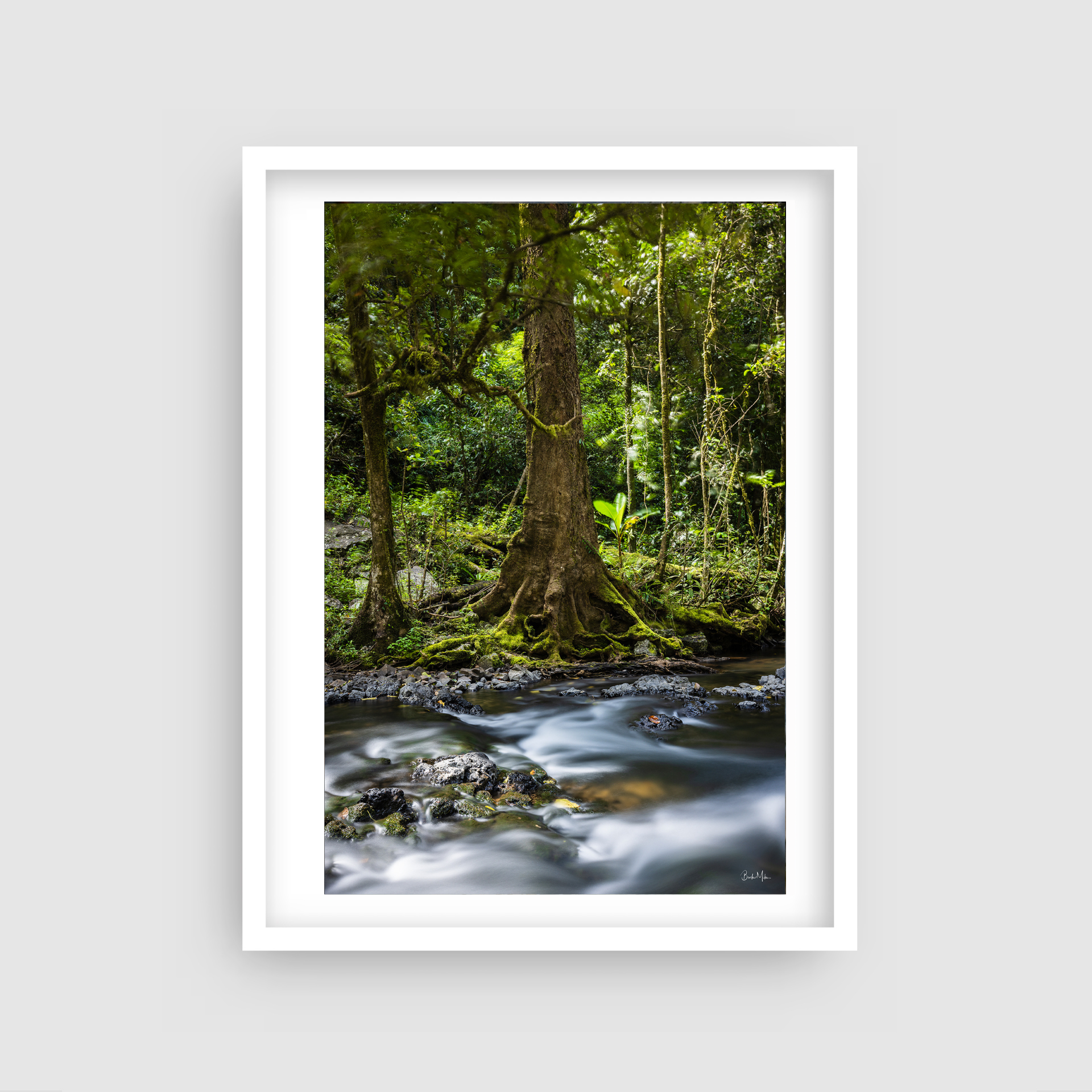 Time Traces - Waterfall Rainforest Print