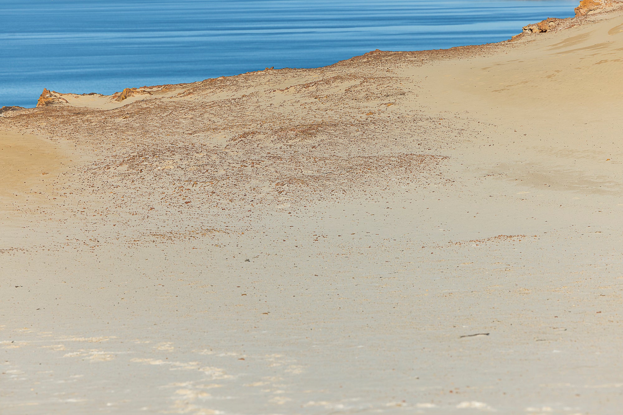 Sandbox - Nature Coastal Print