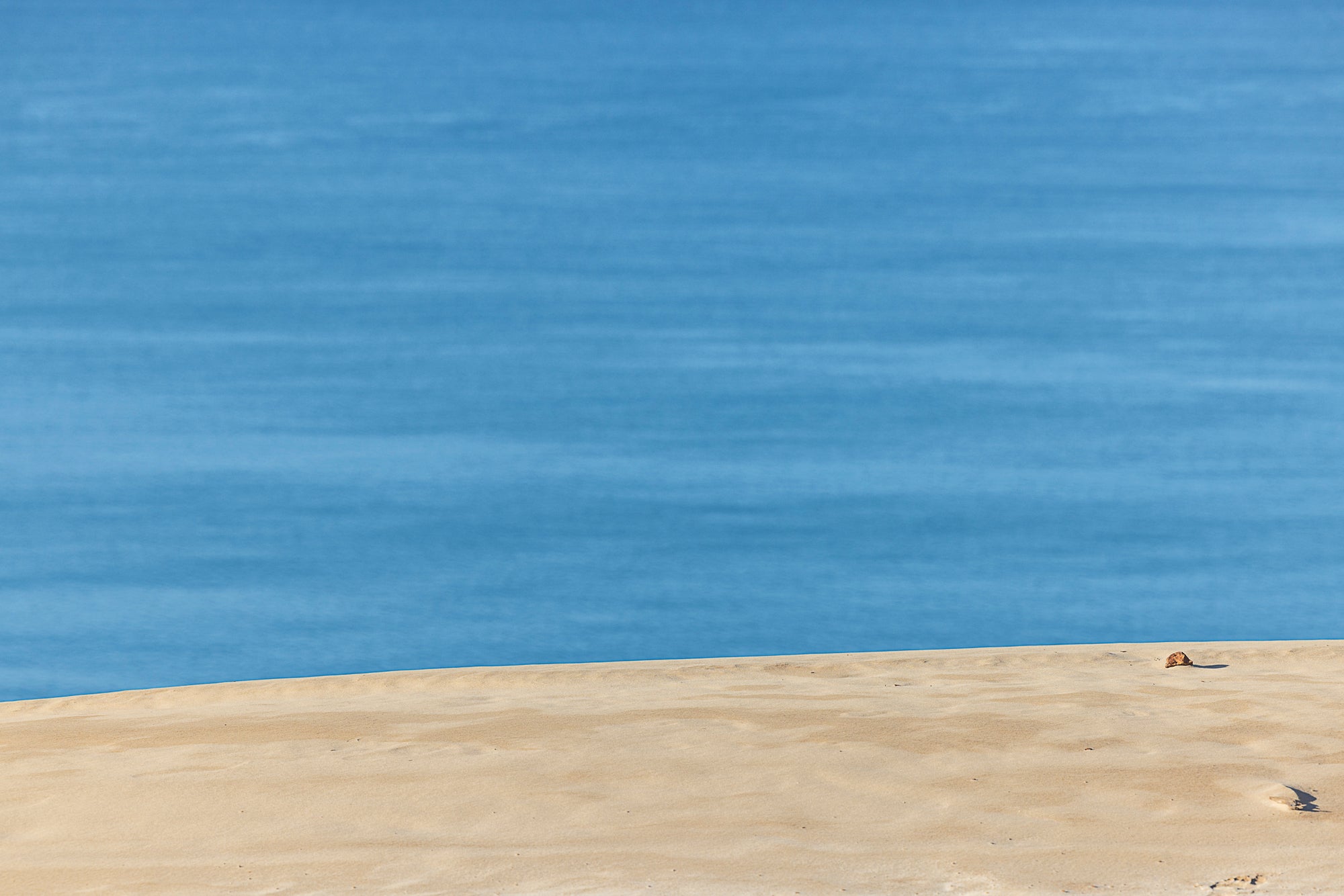 Contrast - Nature Coastal Print