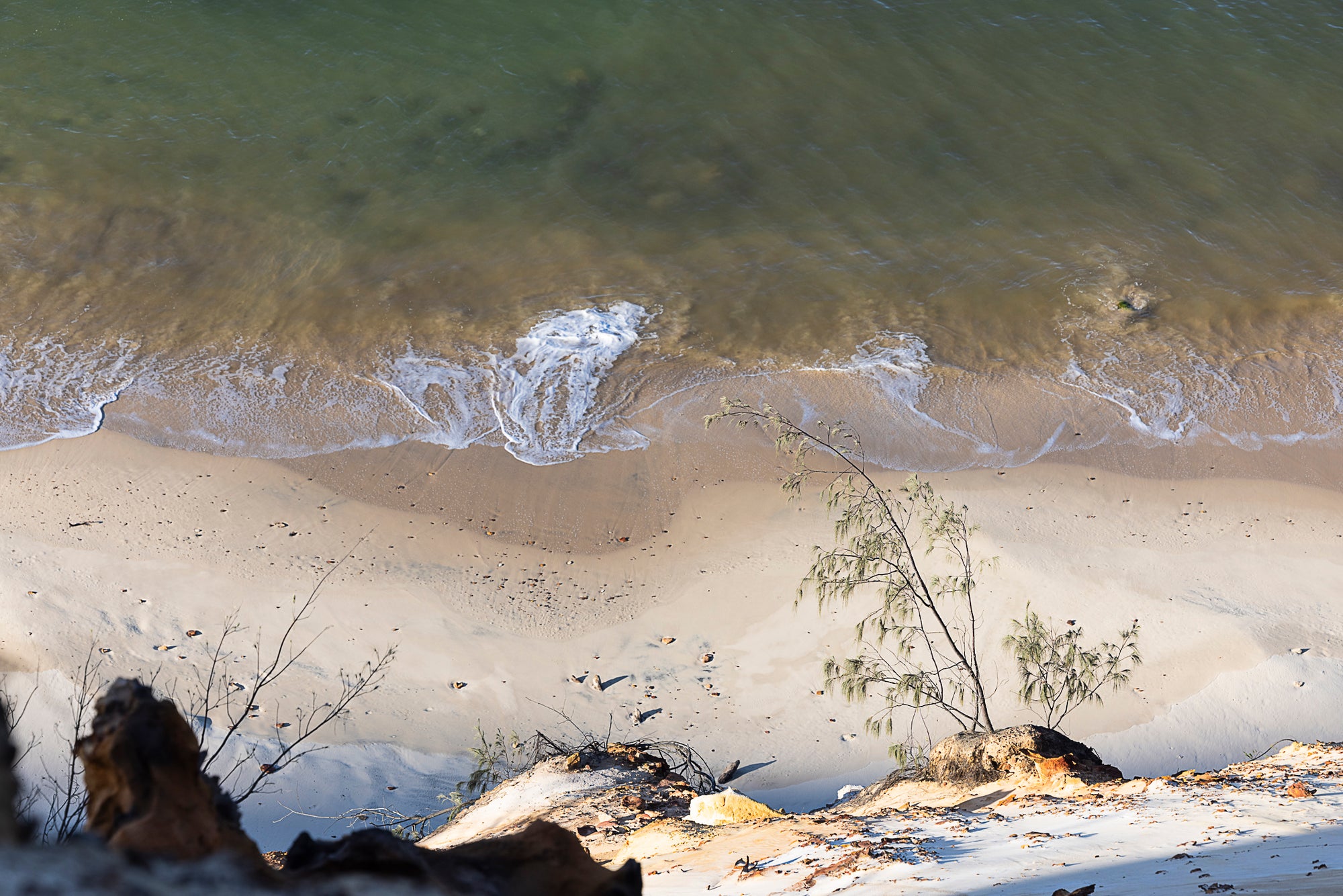 Dune Layers - Nature Coastal Print