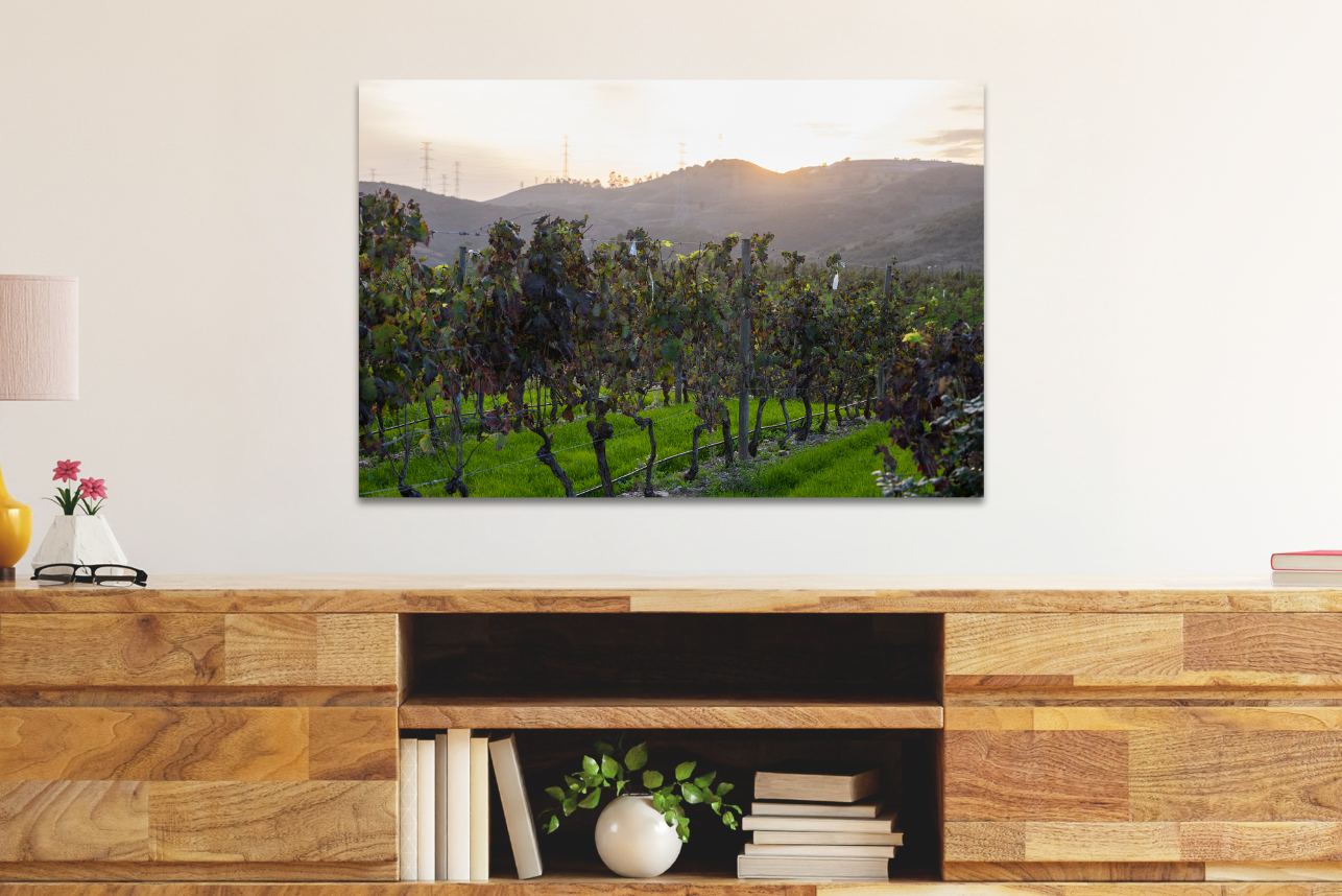 Algrave Vineyard - Portugal Winery Travel Print