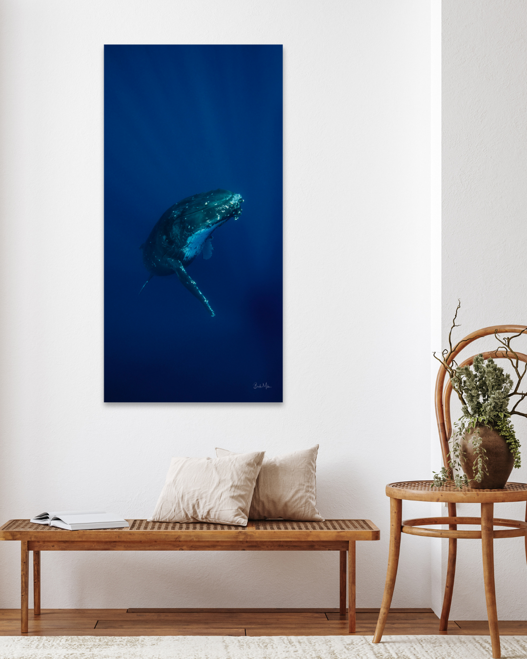 Ascent - Humpback Whale Print