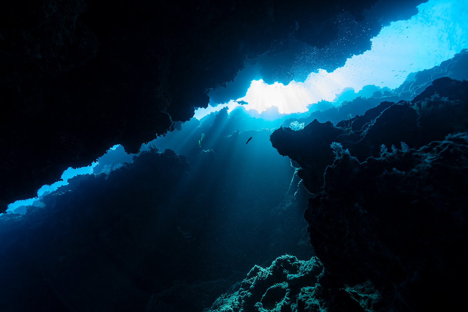 Bait Cave - Underwater Reef Print