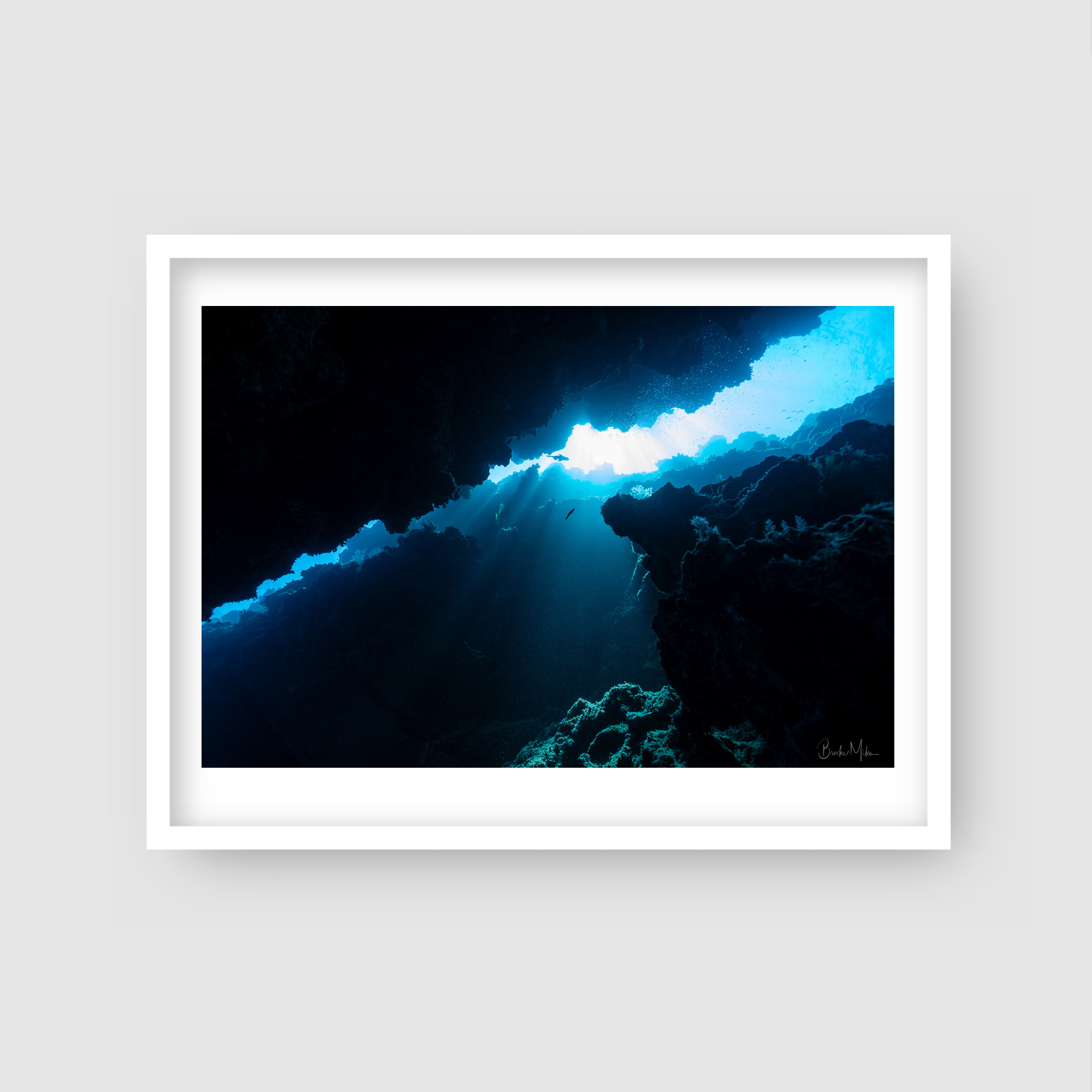 Bait Cave - Underwater Reef Print