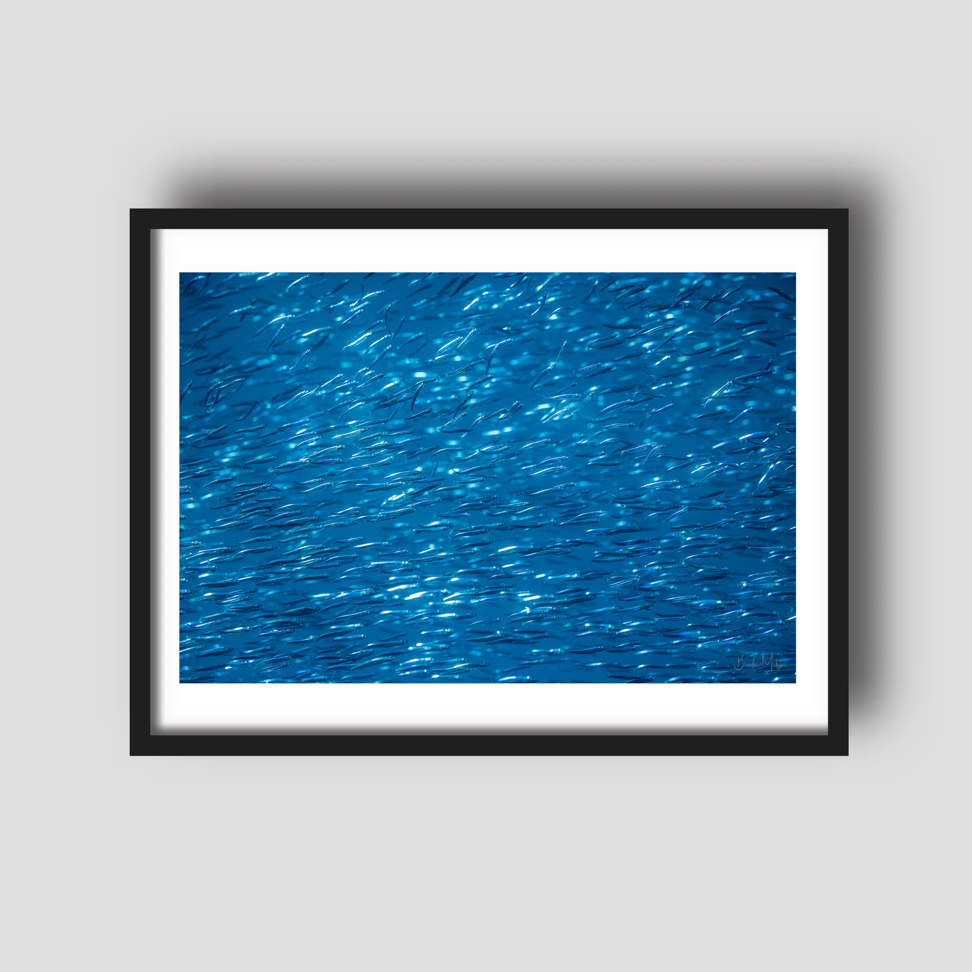 Bait Highway - Underwater Fish Print