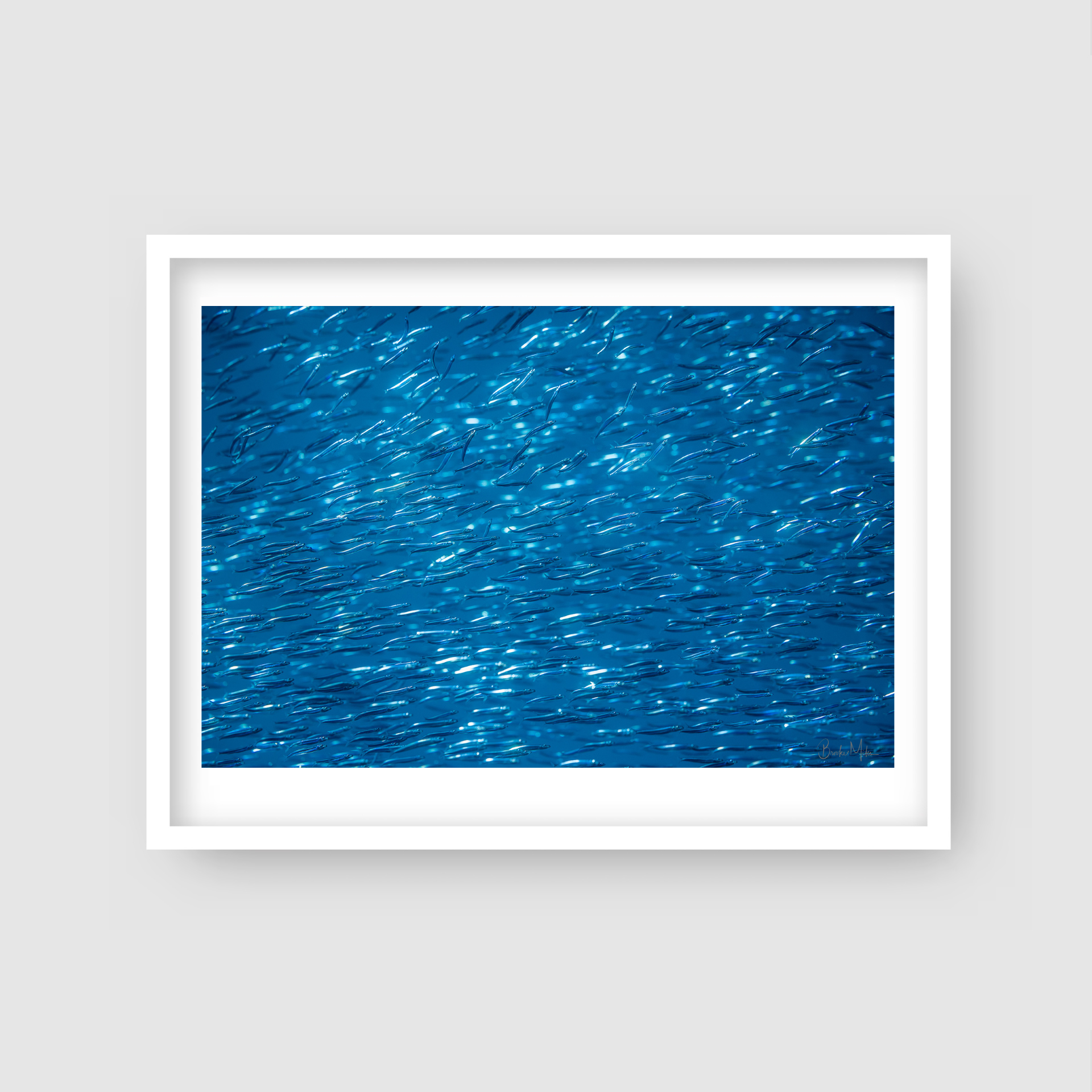 Bait Highway - Underwater Fish Print
