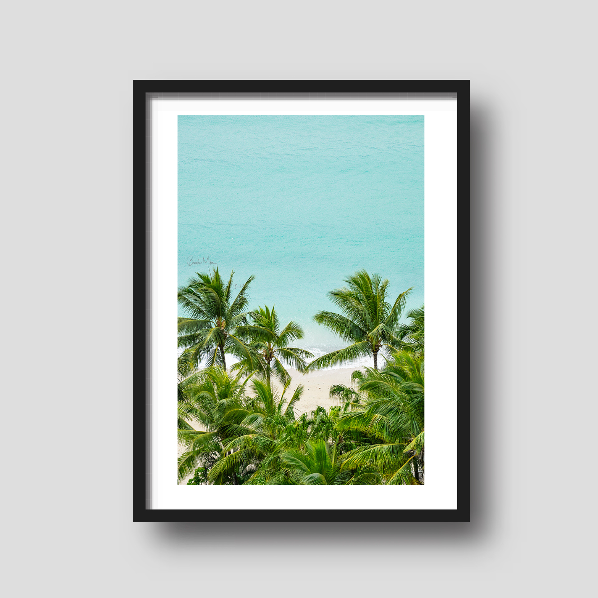 Beachside Dreams - Palm Tree Print