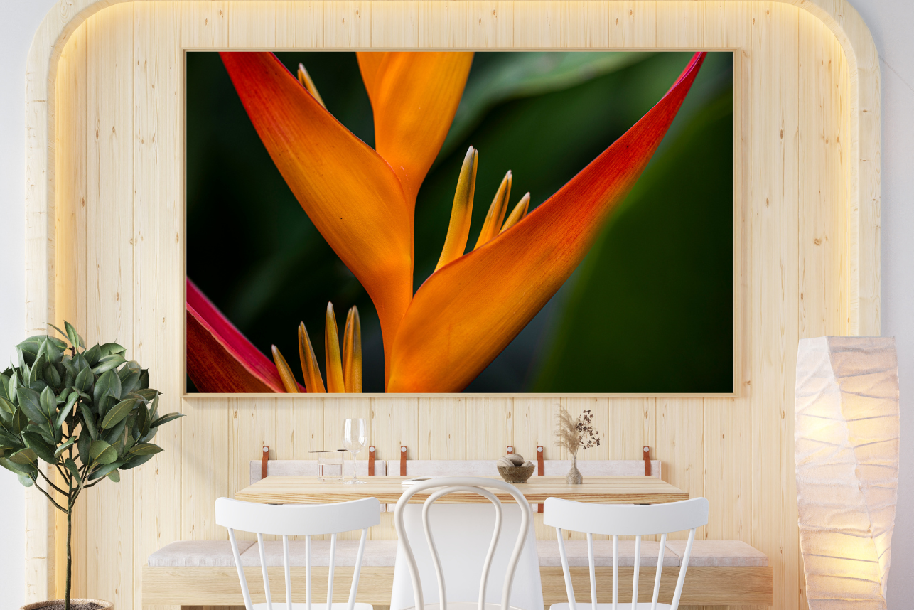 Birds of Paradise - Flower Print