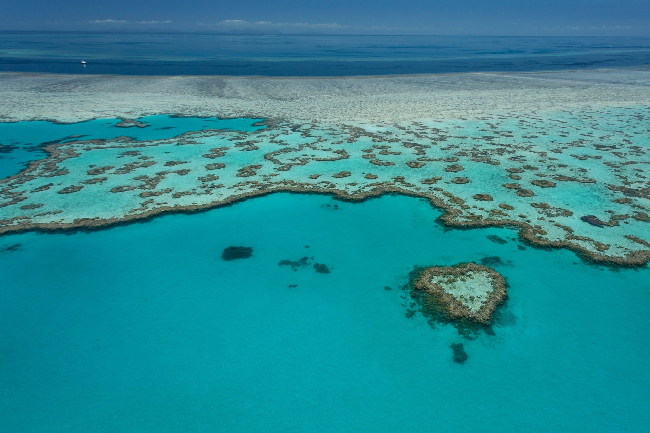 Photo Mount Small - Blue Heart