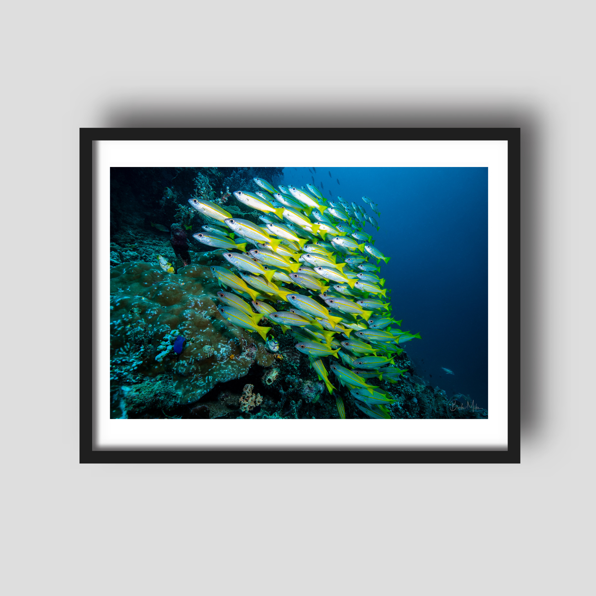 Blue Magic - Underwater Reef Print