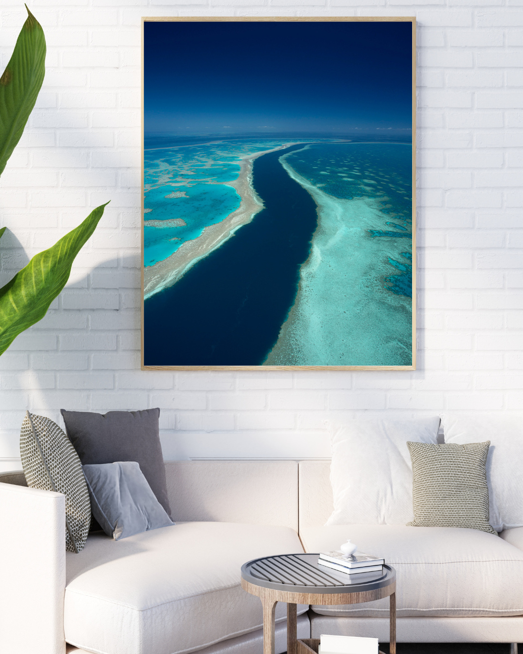 Blue Ribbon - Great Barrier Reef Print