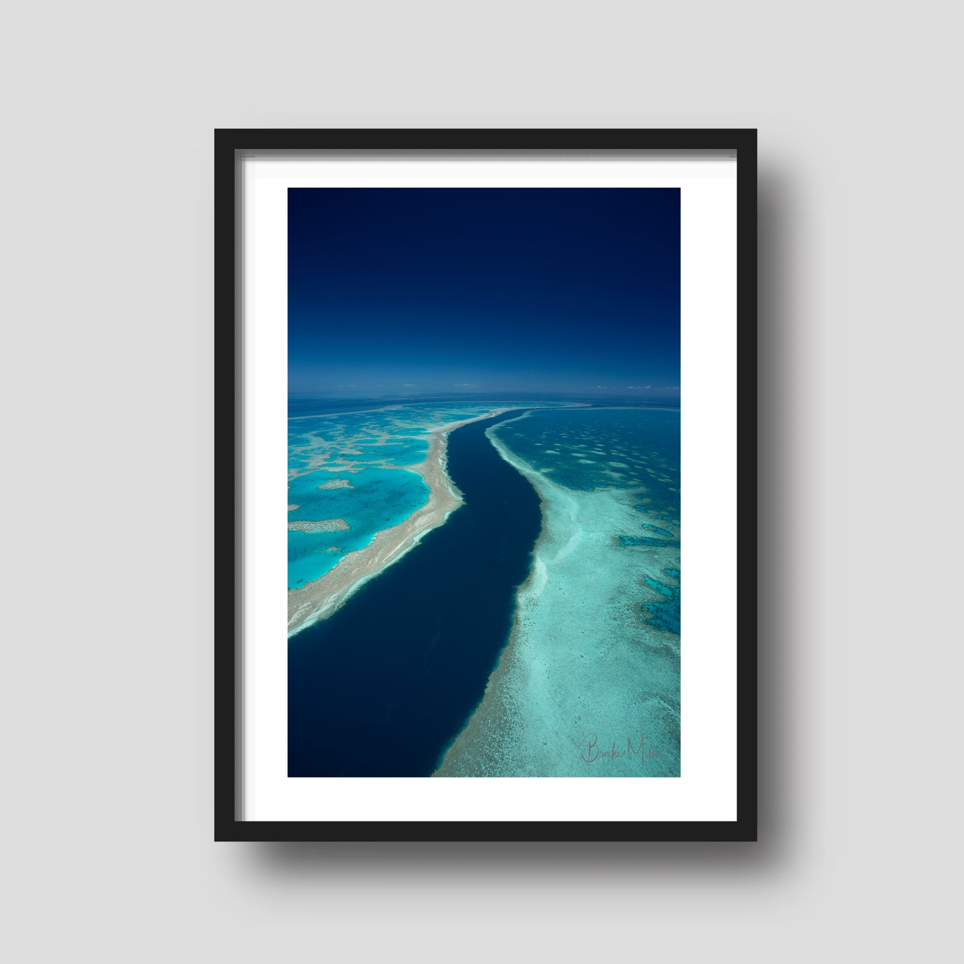Blue Ribbon - Great Barrier Reef Print
