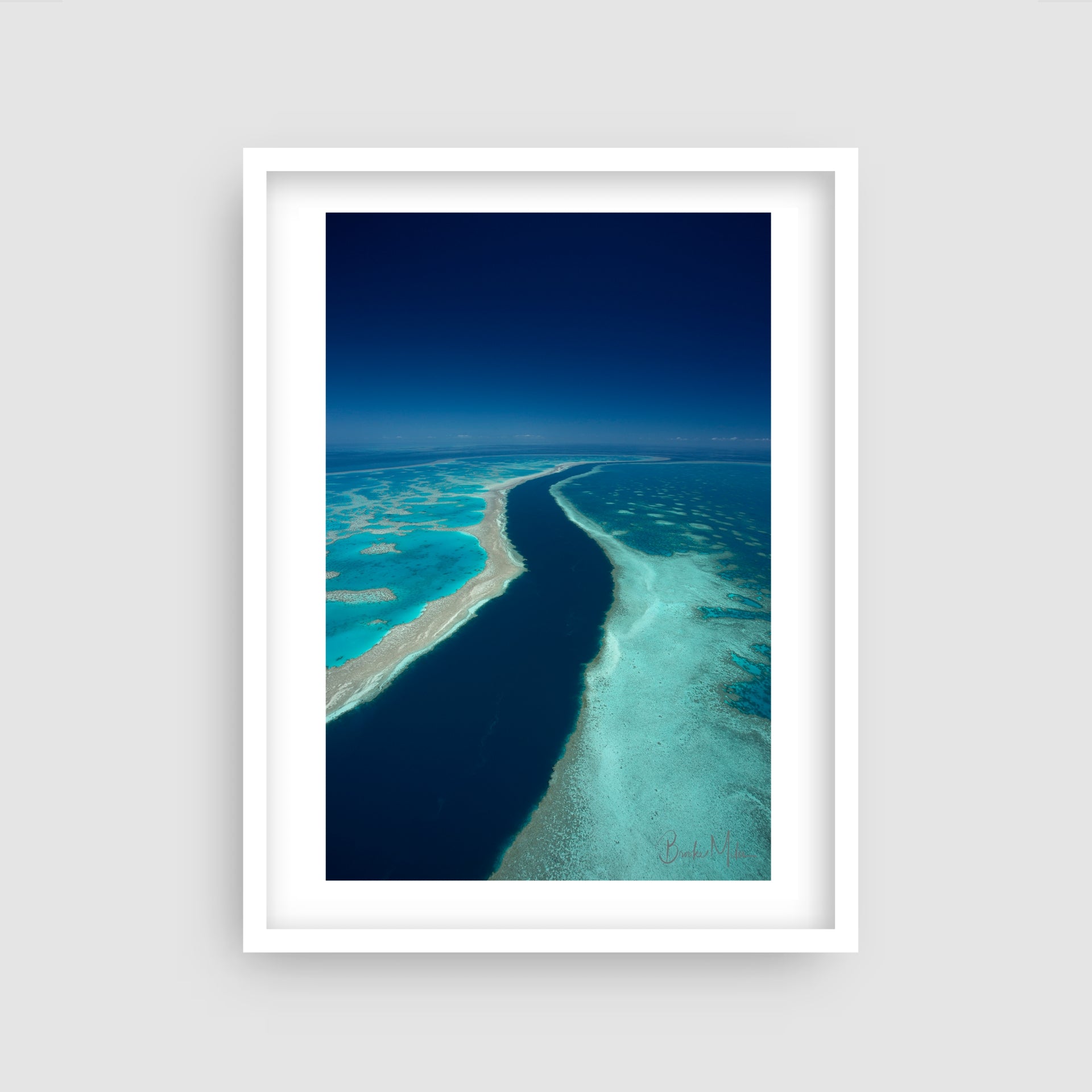 Blue Ribbon - Great Barrier Reef Print