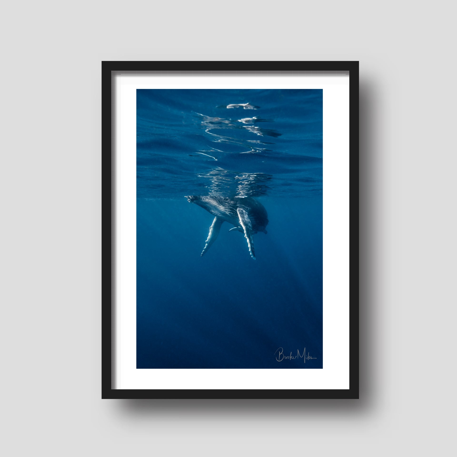 Bluey - Humpback Whale Print
