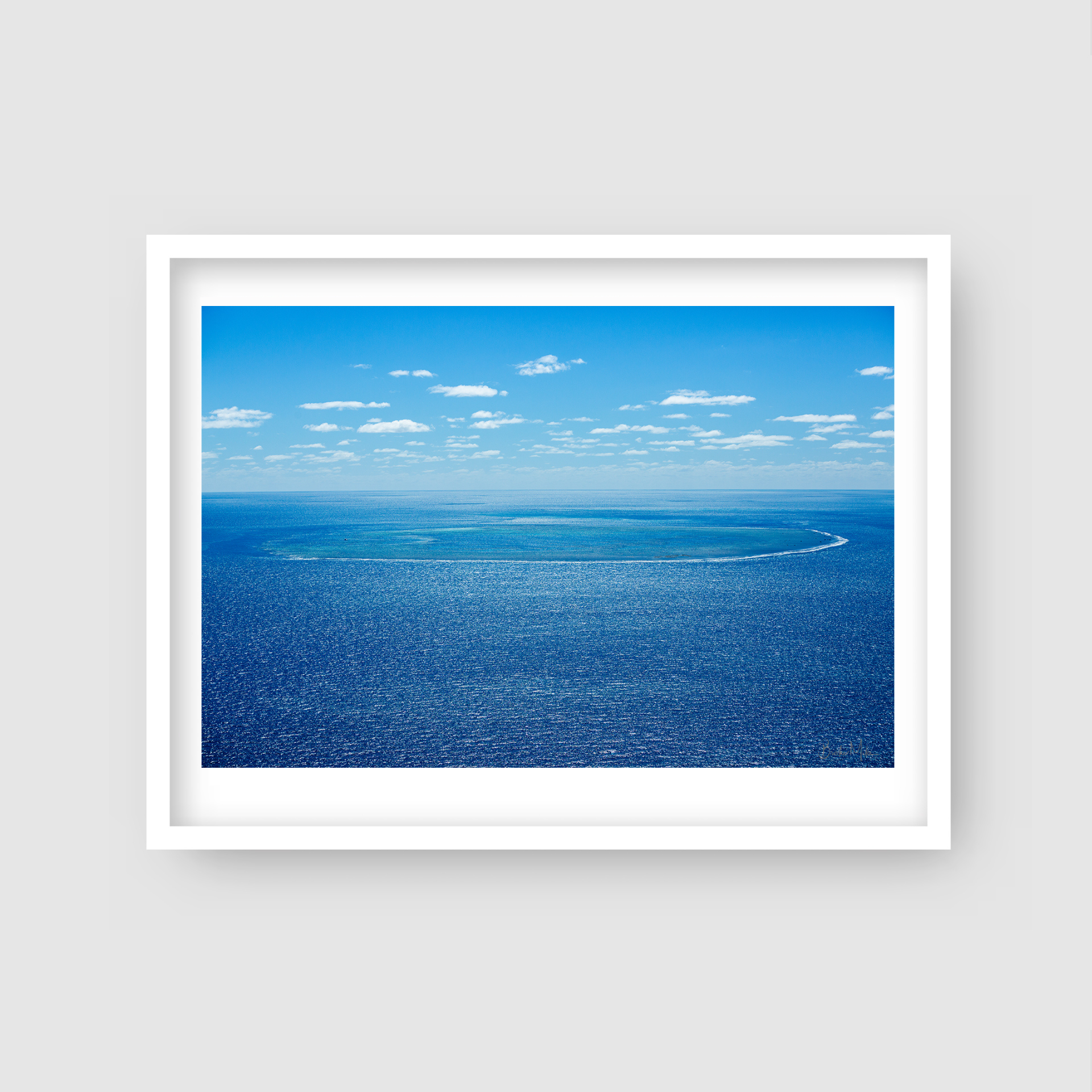 Bounty - Ocean Print