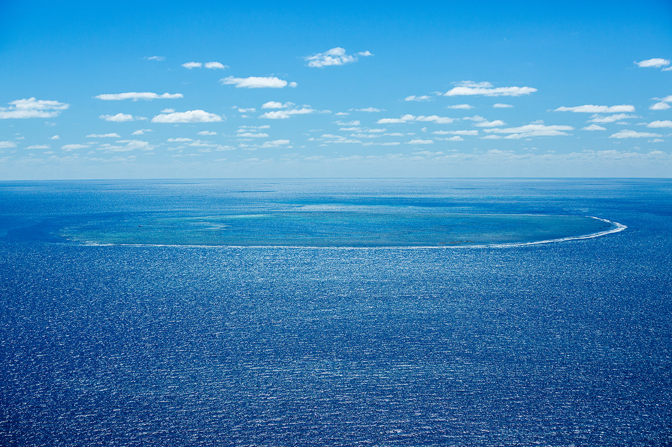 Bounty - Ocean Print