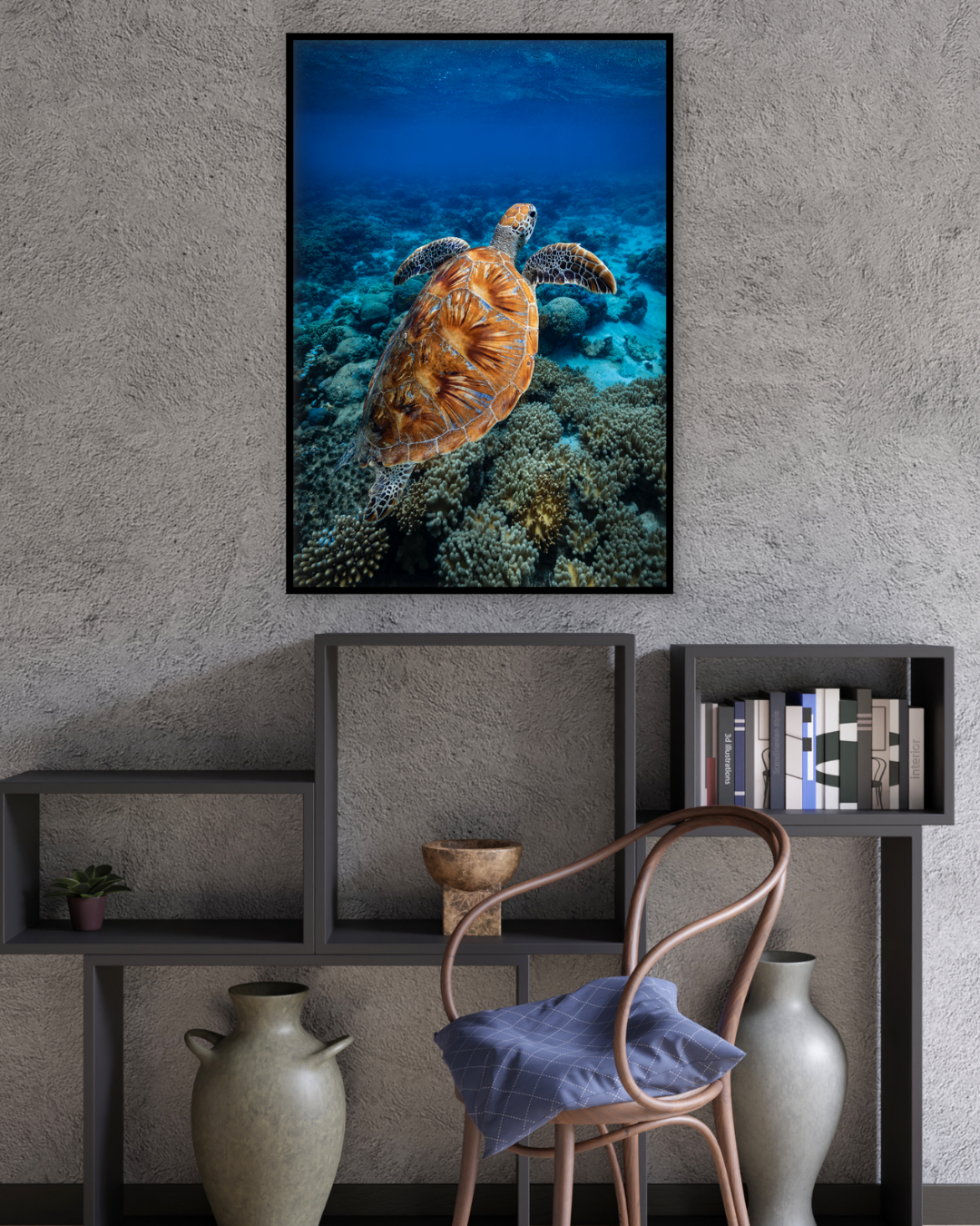 Buddy - Green Sea Turtle Print - Great Barrier Reef