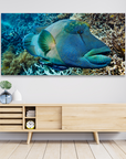 Charlie Boy - Underwater Maori Wrasse Print