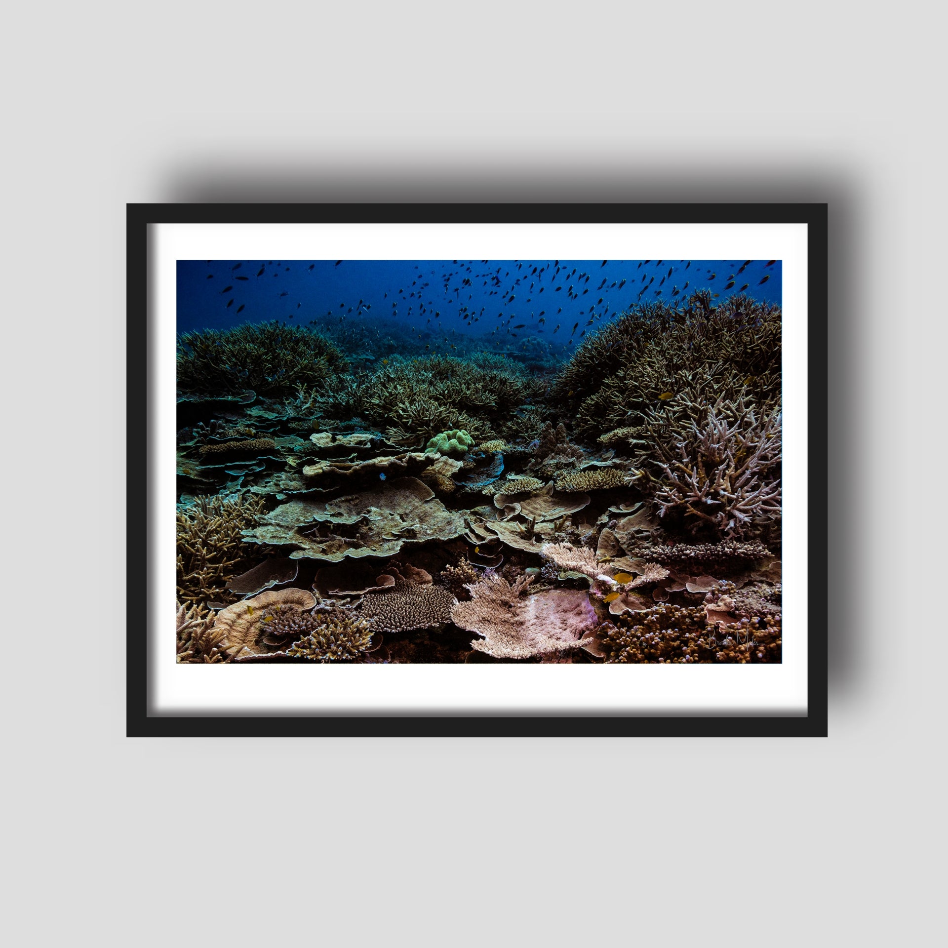 City - Underwater Reef Print