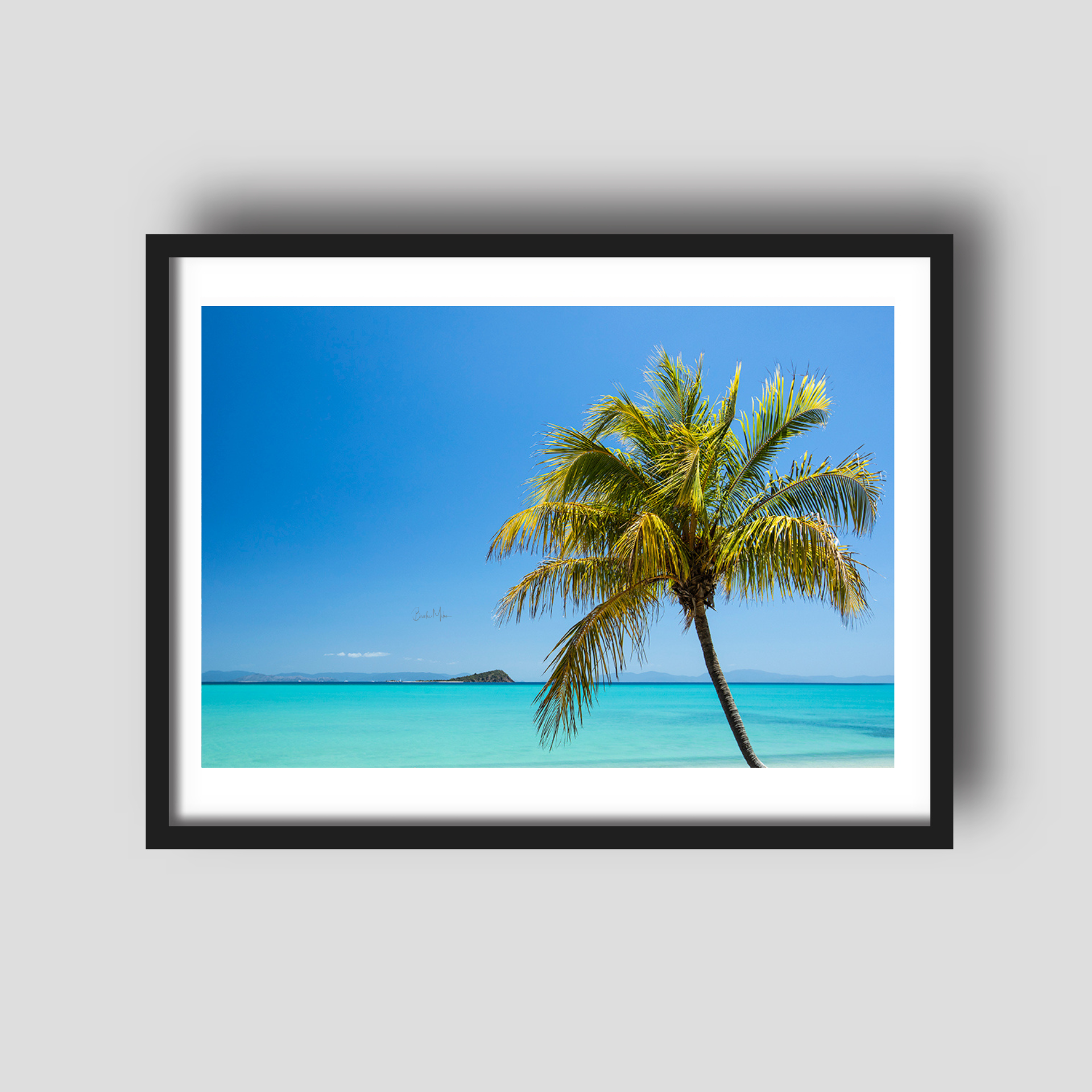 Coastal Escape - Island Palm Tree Print