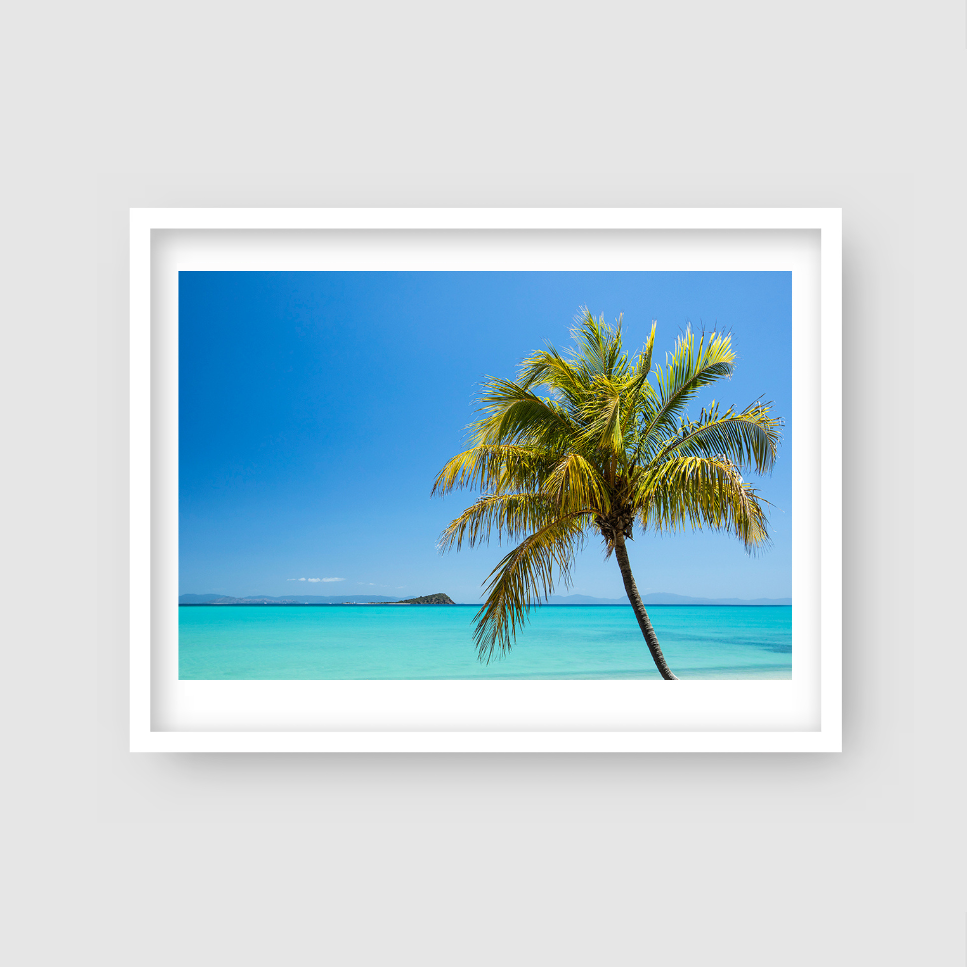 Coastal Escape - Island Palm Tree Print