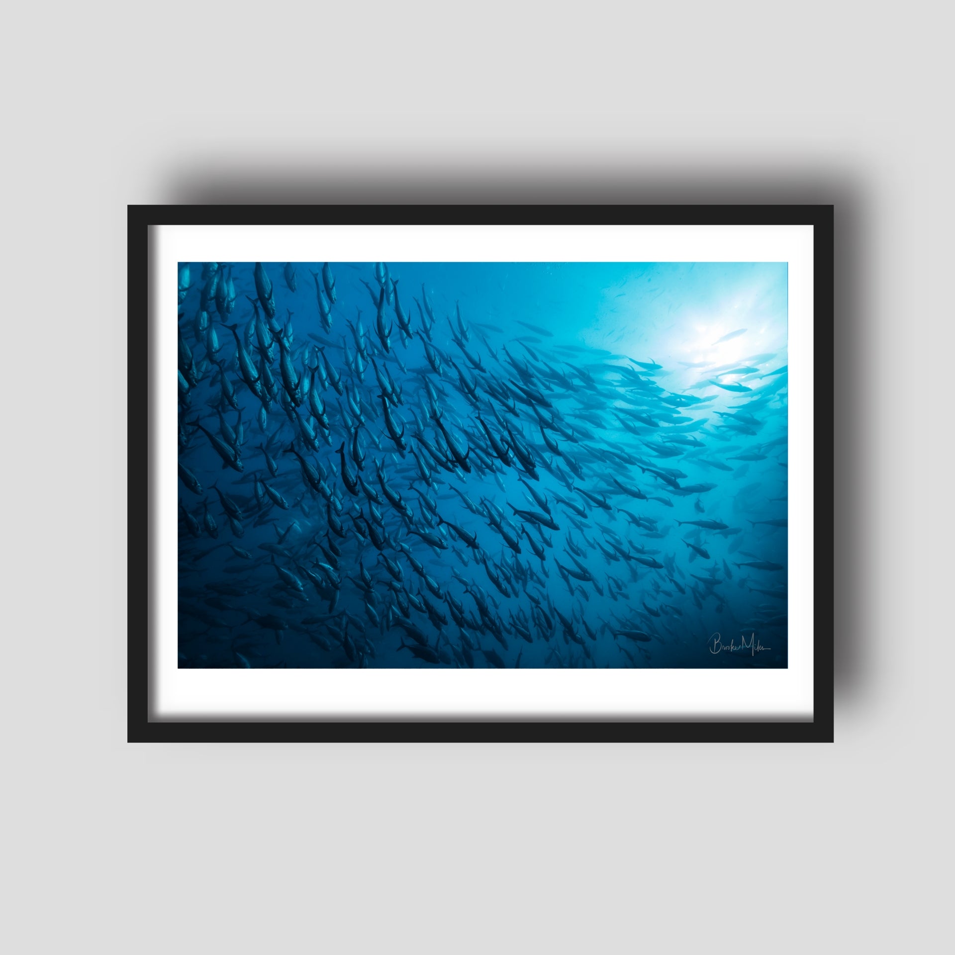 Community - Underwater Reef Print