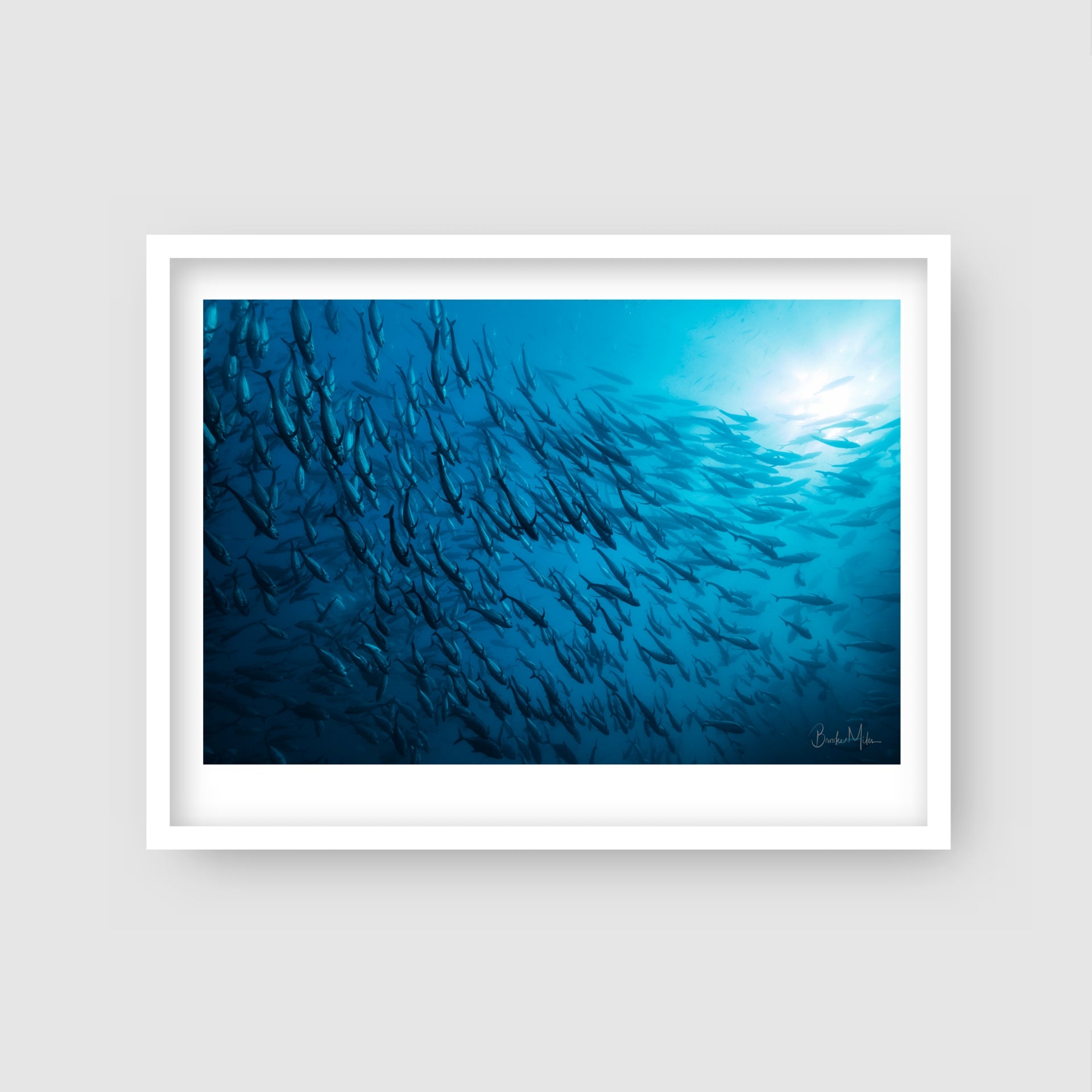 Community - Underwater Reef Print