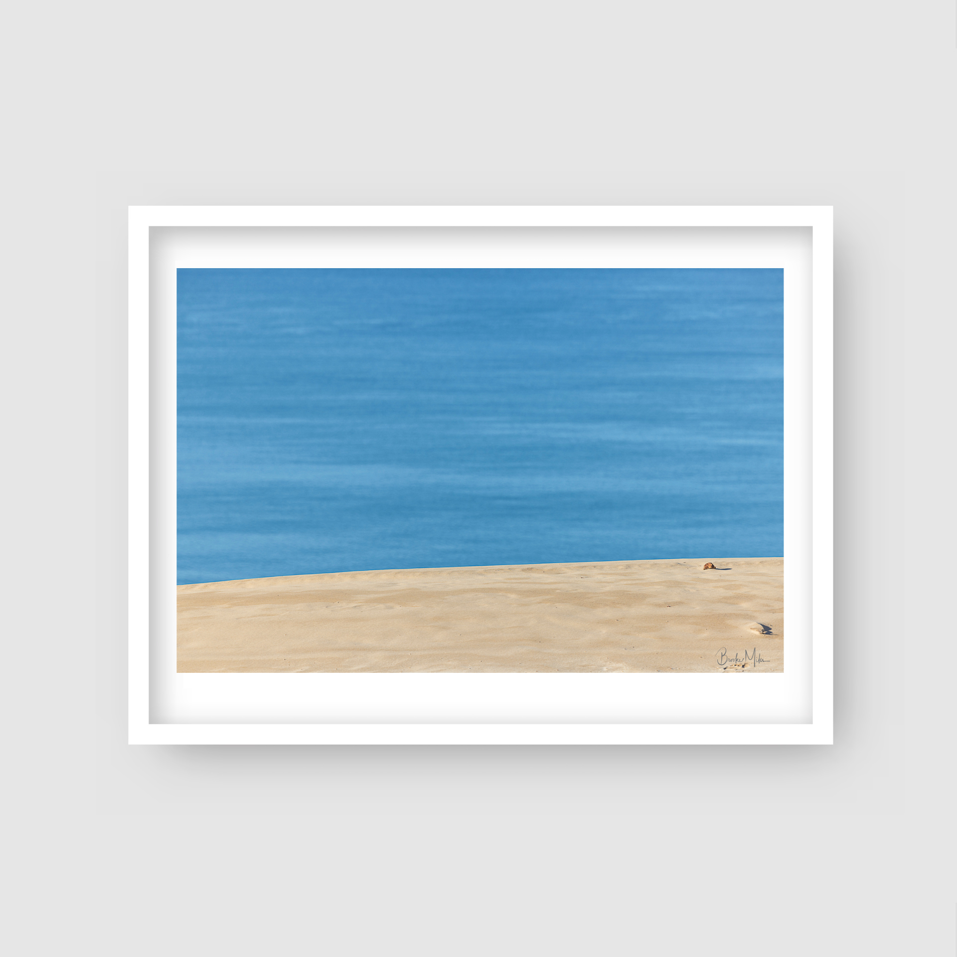 Contrast - Nature Coastal Print