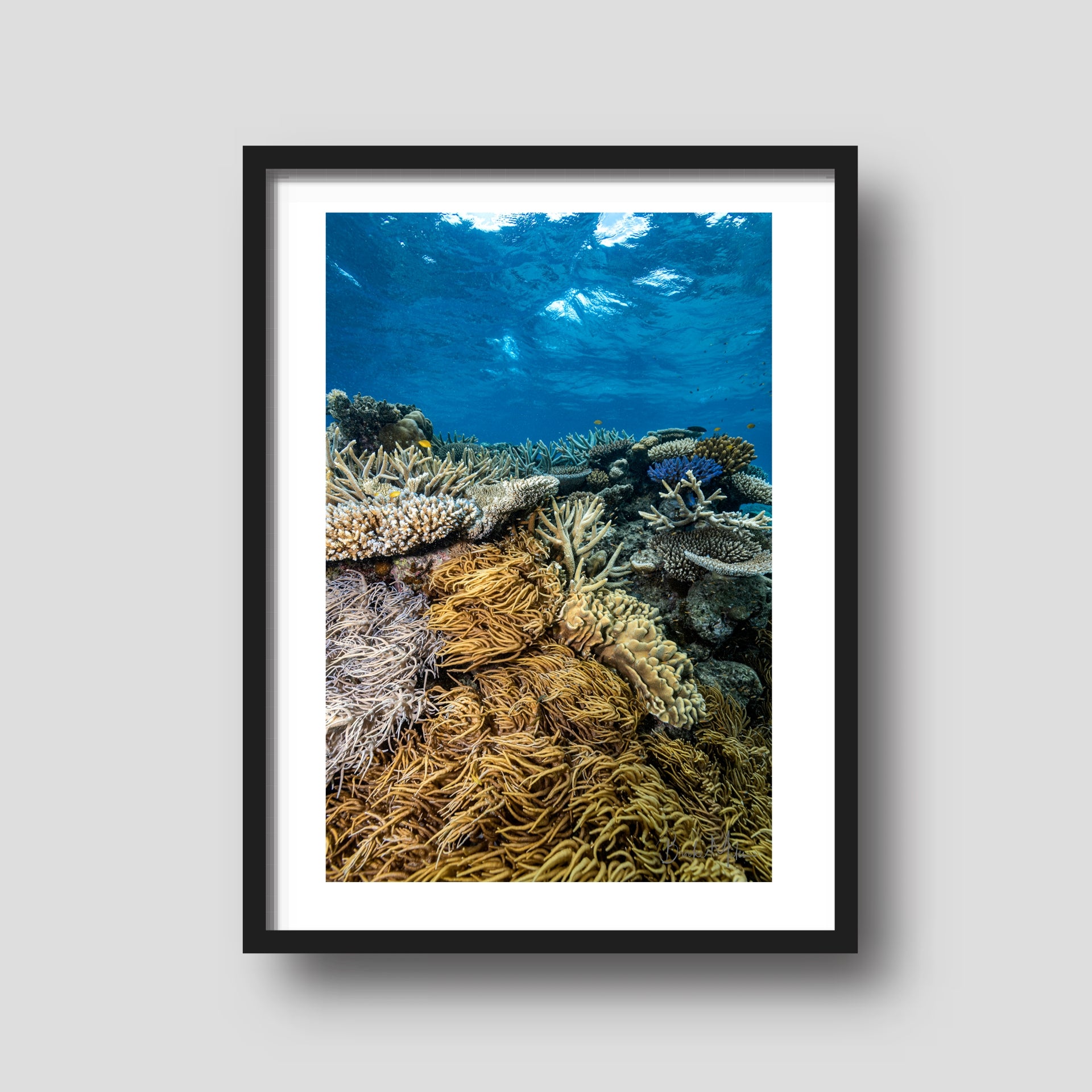Coral Forest - Underwater Reef Print
