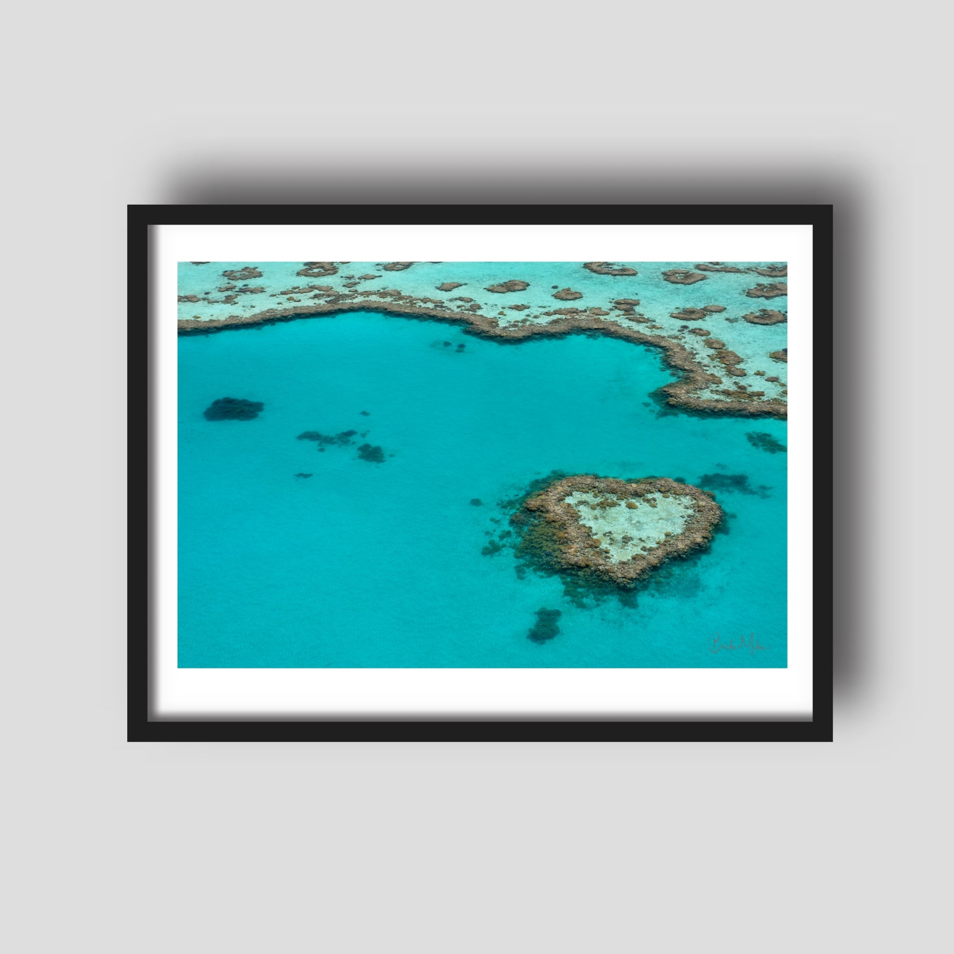 Coral Heart - Heart Reef Print