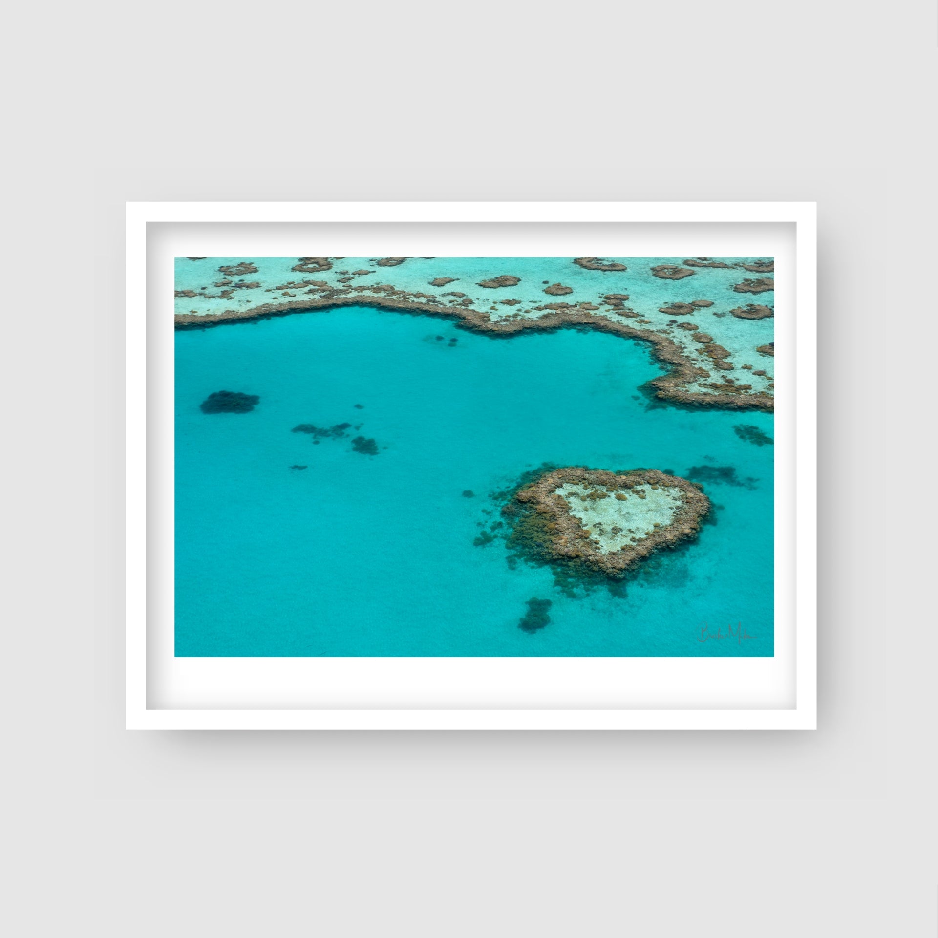 Coral Heart - Heart Reef Print