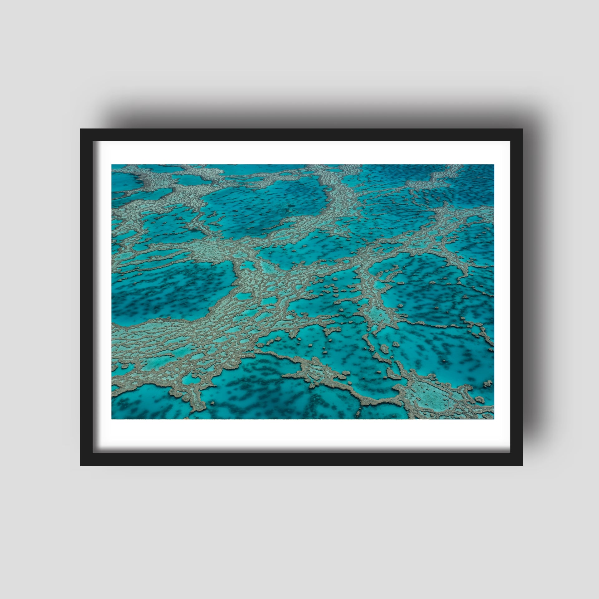 Coral Veins - Great Barrier Reef Print