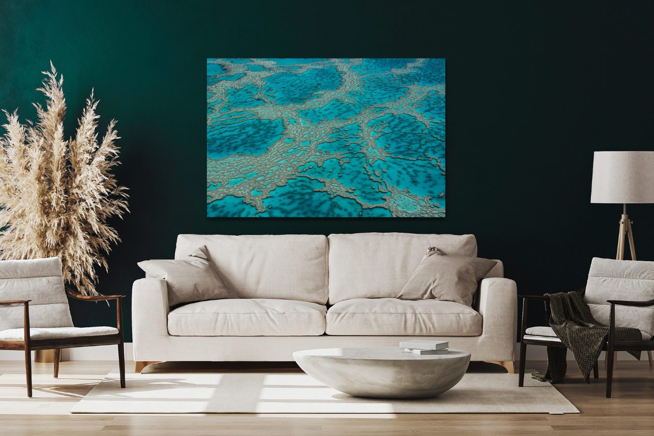 Coral Veins - Great Barrier Reef Print