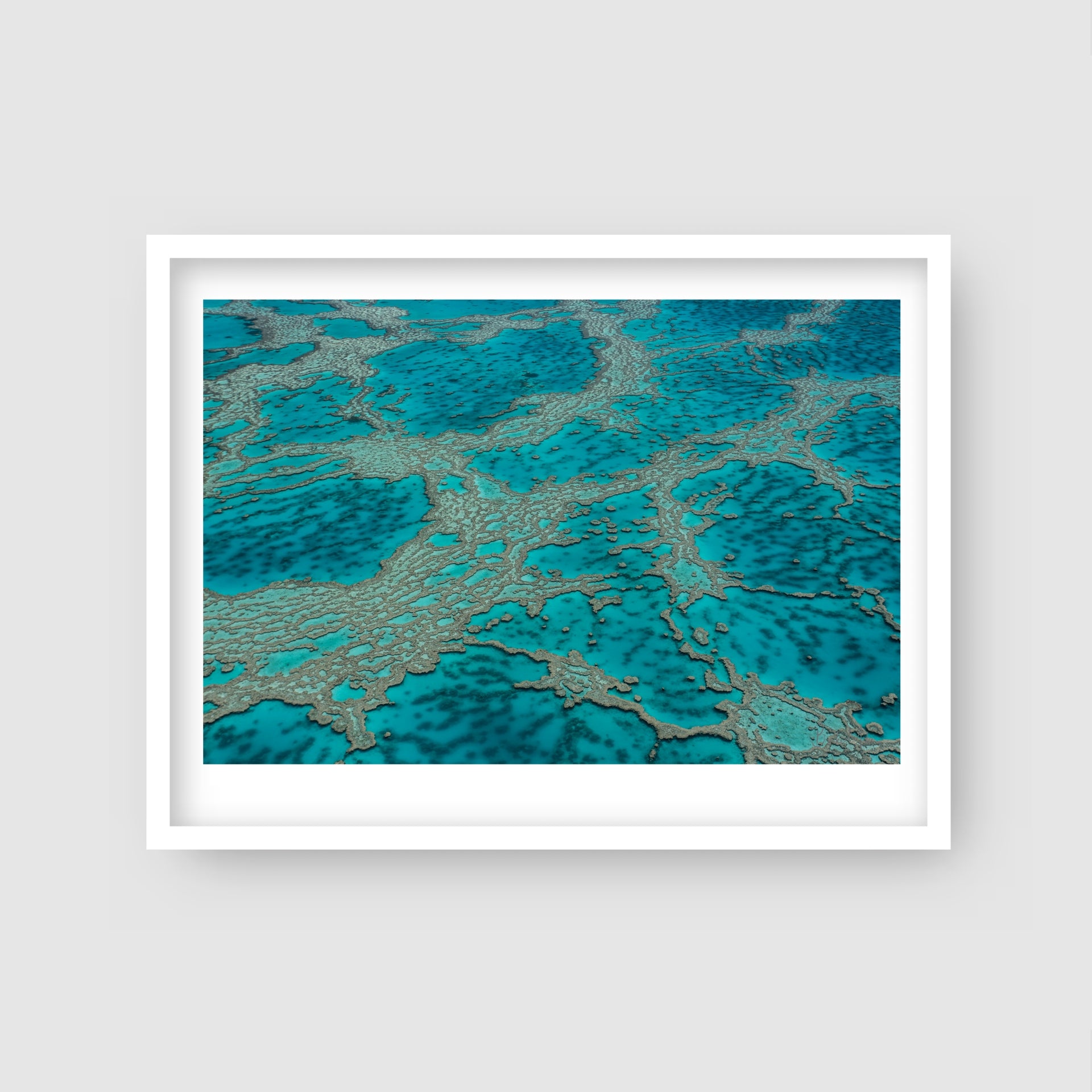 Coral Veins - Great Barrier Reef Print