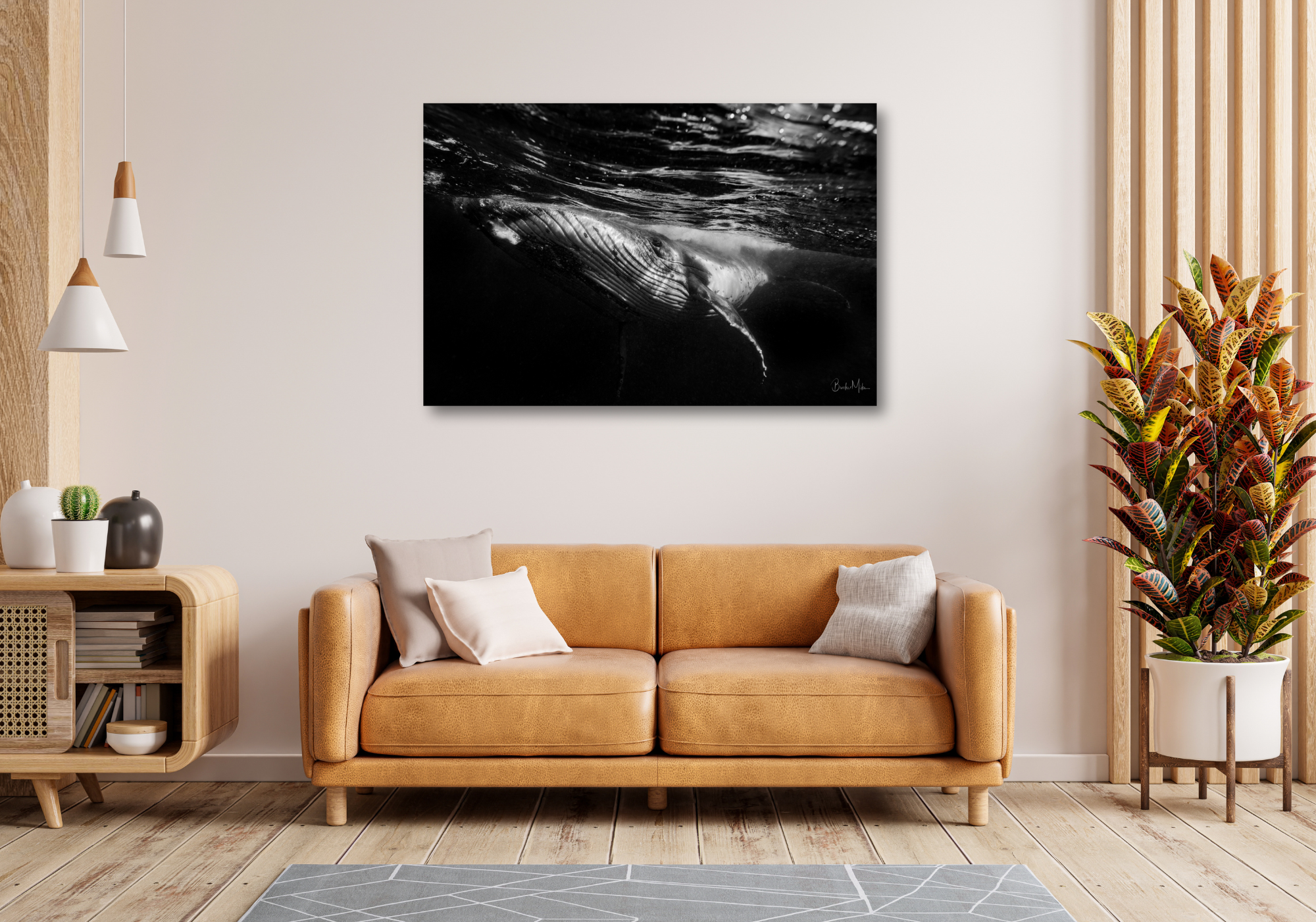 Crazy Eye - Humpback Whale Print