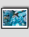 Damsel in Distress - Underwater Damselfish Print