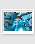 Damsel in Distress - Underwater Damselfish Print
