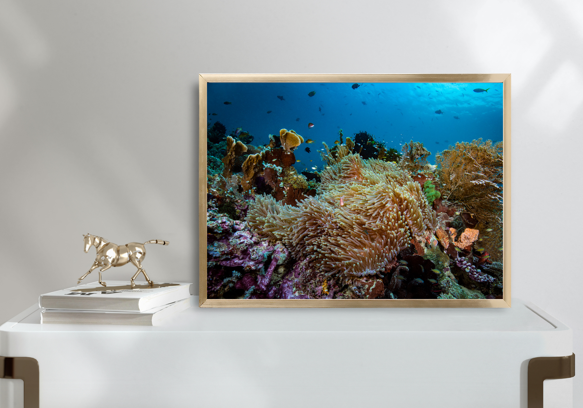 Diversity - Underwater Reef Print