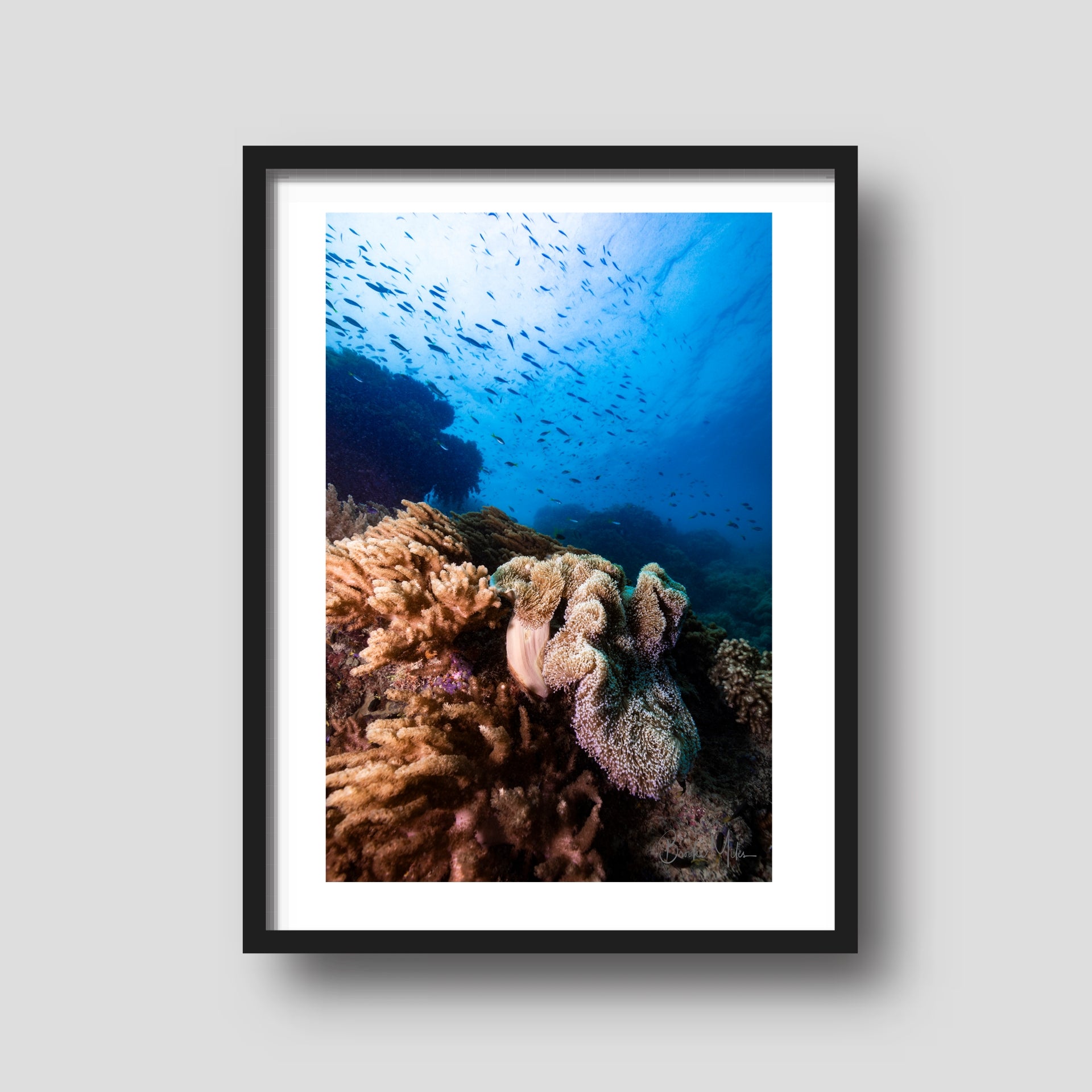 Drifting - Underwater Reef Print