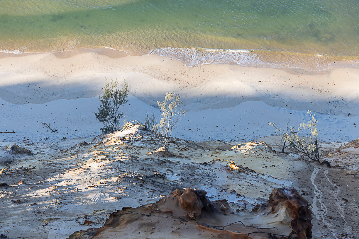 Dune Clock - Nature Coastal Print