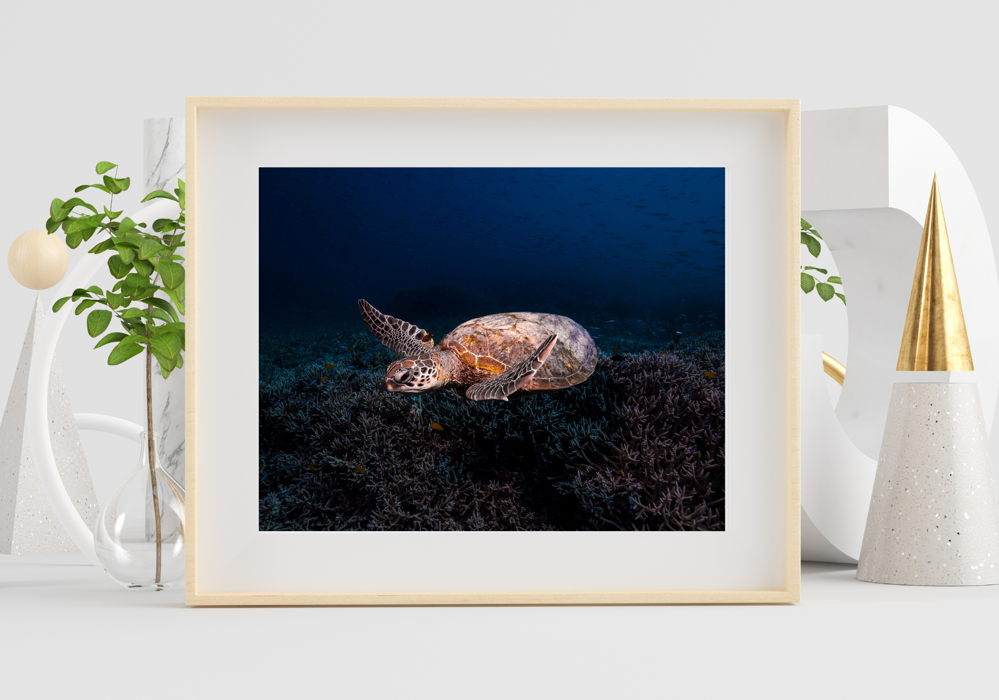 Dusk Diver - Turtle Print