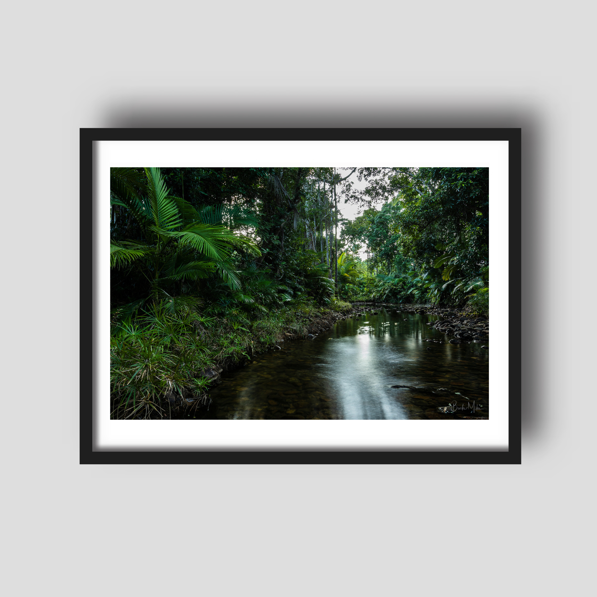 Evergreen - Rainforest Creek Print