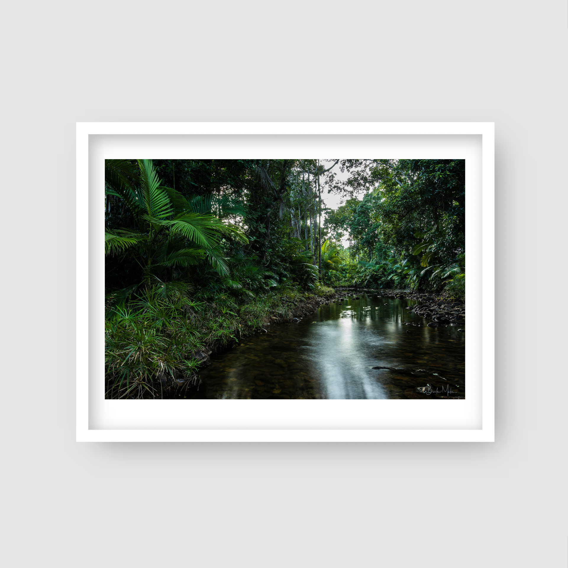Evergreen - Rainforest Creek Print