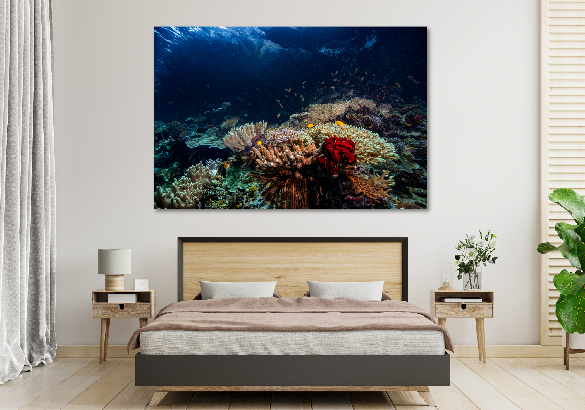 Fairyland - Underwater Reef Print