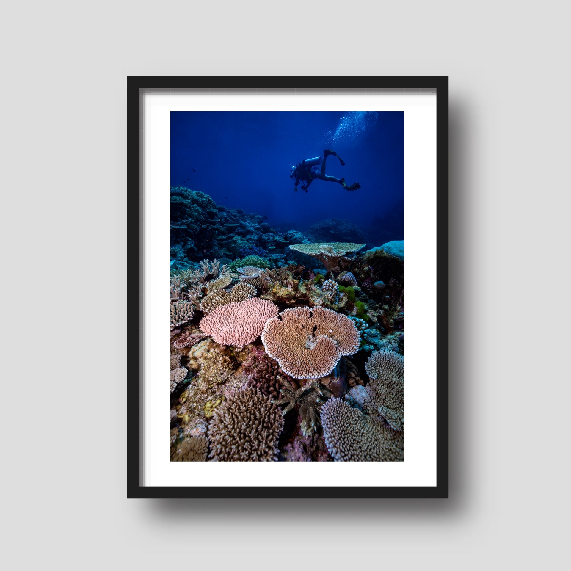Field Day - Underwater Reef Print