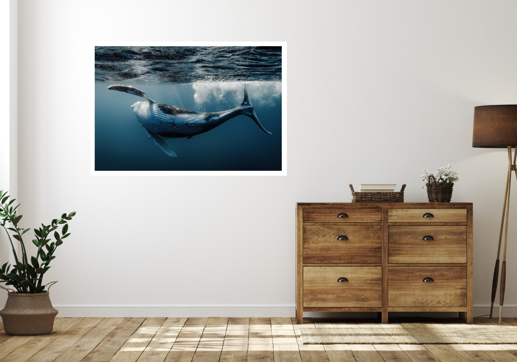 Freestyle - Humpback Whale Print